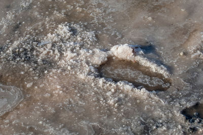 High angle view of crab on beach