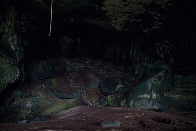 Rock formation in forest at night