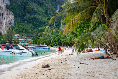 People on beach by palm trees