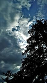 Low angle view of silhouette tree against sky