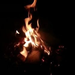 Bonfire at night