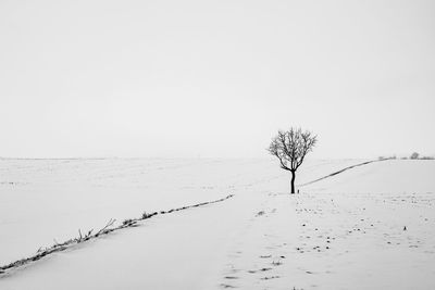 Scenic view of snow covered field against clear sky