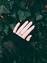 Cropped hand of woman touching plants