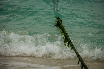 High angle view of waves splashing on shore