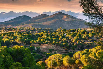 Scenic view of landscape against sky during sunset