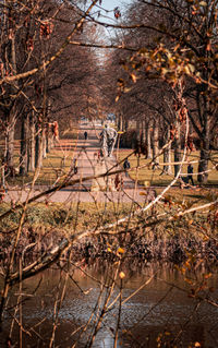 View of trees on landscape during autumn