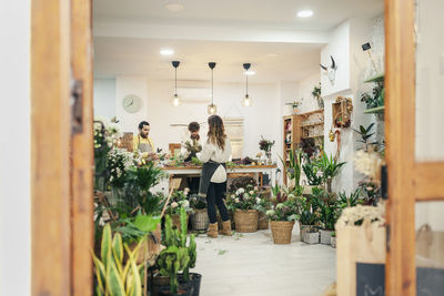 Florists working in flower shop seen though doorway