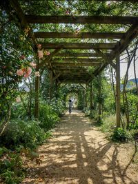 Rear view of boy running under covered footpath