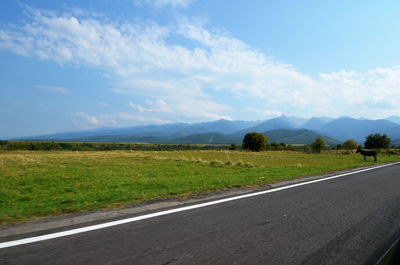 Road by agricultural field against sky