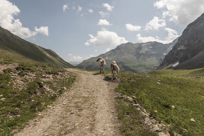 Rear view of people walking on mountain against sky