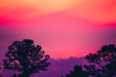 Low angle view of silhouette tree against sky during sunset