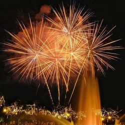 Firework display at night