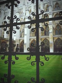 View of lawn in lawn