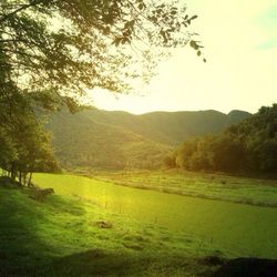 Scenic view of landscape against sky