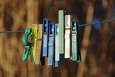 Close-up of clothes drying on clothesline