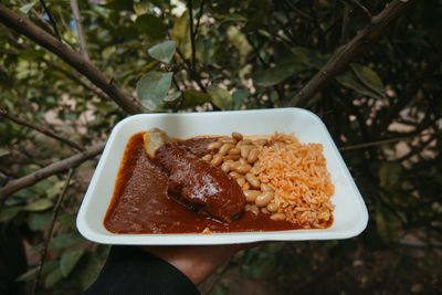 Close-up of food in plate