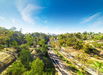 Panoramic view of road amidst trees against sky