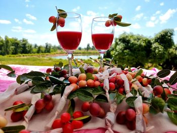 Close-up of red wine and plants against sky