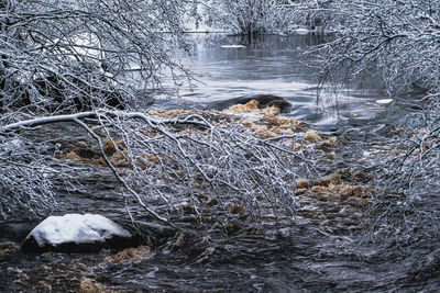 Frozen river stream in forest during winter