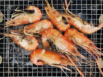 High angle view of meat on barbecue grill