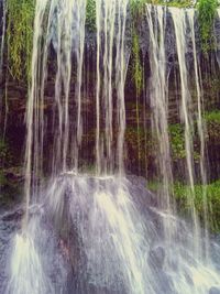 Waterfall in forest