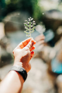 Cropped hand of man holding plant