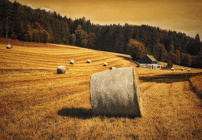 Scenic view of field against sky