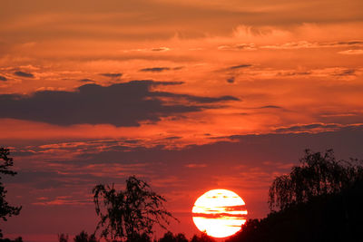 Silhouette trees against dramatic sky during sunset