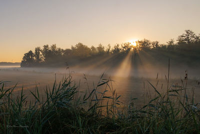 morning
