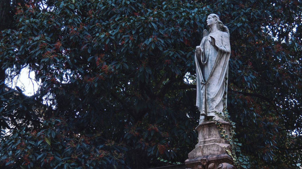 LOW ANGLE VIEW OF STATUE BY TREES AGAINST PLANTS