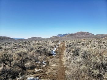Scenic view of landscape against clear blue sky