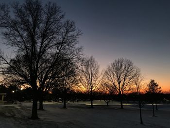 Bare trees on snow covered landscape at night