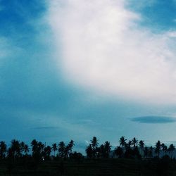 Scenic view of landscape against cloudy sky