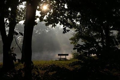 Trees by lake against sky