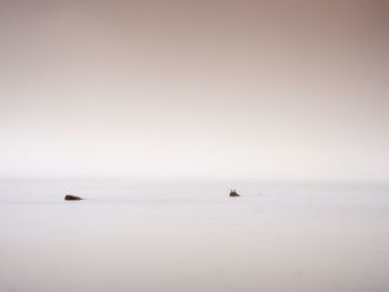 Pink sunset at rocky coast of sea. slow shutter speed for smooth water level and dreamy effect