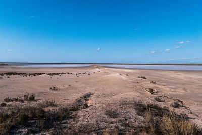 Scenic view of beach against blue sky