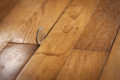 Close-up of lizard on hardwood floor