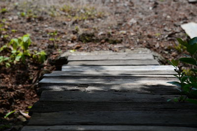 Close-up of wooden plank