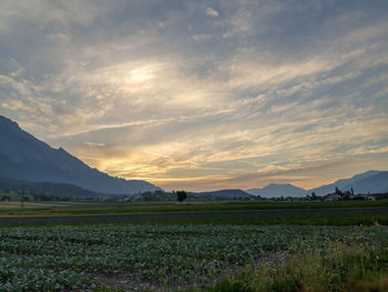 Scenic view of field against sky during sunset