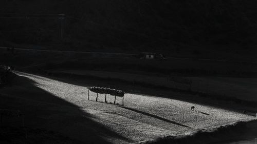 High angle view of road amidst field