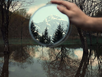 Reflection of bare trees in lake