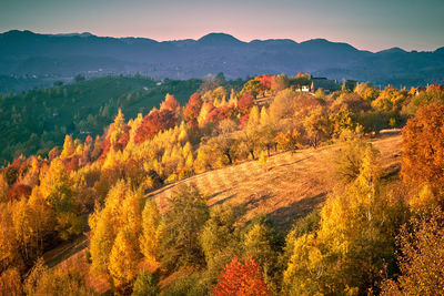 High angle view of trees on landscape against sky