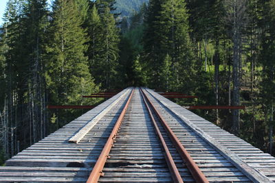 View of railroad tracks amidst trees in forest