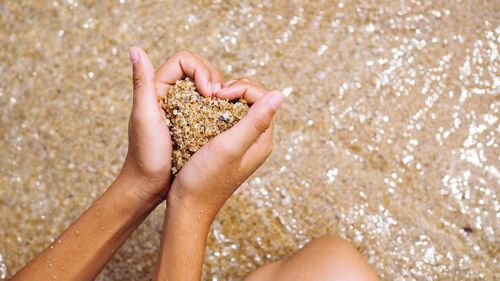 Close-up of woman holding on beach