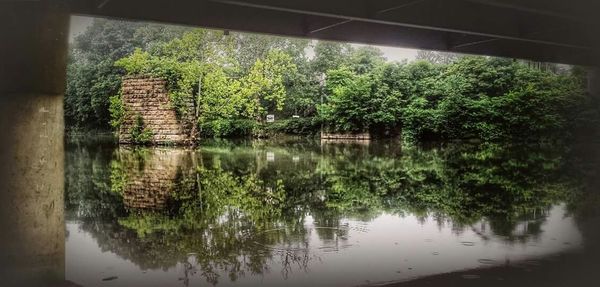 Reflection of trees in river