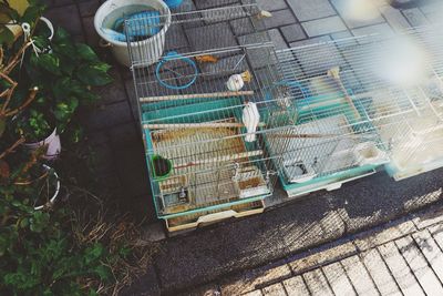 High angle view of birds in cage