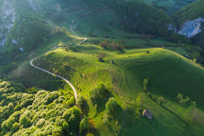 Summer green landscape in the transylvanian hills, apuseni mountains