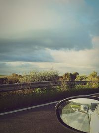 Road by trees against sky in city