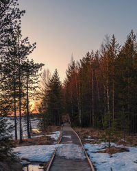 Walkway amidst trees in forest against sky at sunset