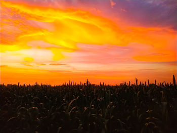 Silhouette field against dramatic sky during sunset